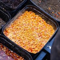 Guru Bait Boxes Orange